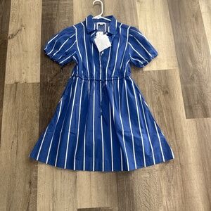 ☀️J Crew shirt dress